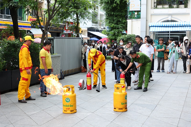 cá cược thể thao hul city